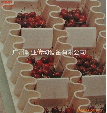 食品級(jí)輸送帶